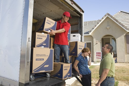 Professional man with van service for small removals